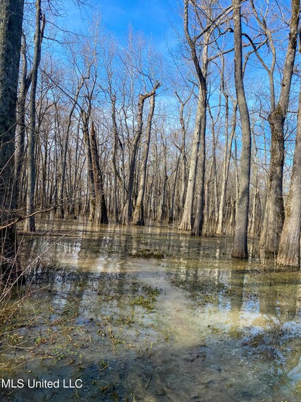 0 County Road 526 Unit 4040197, Schlater, MS 38952