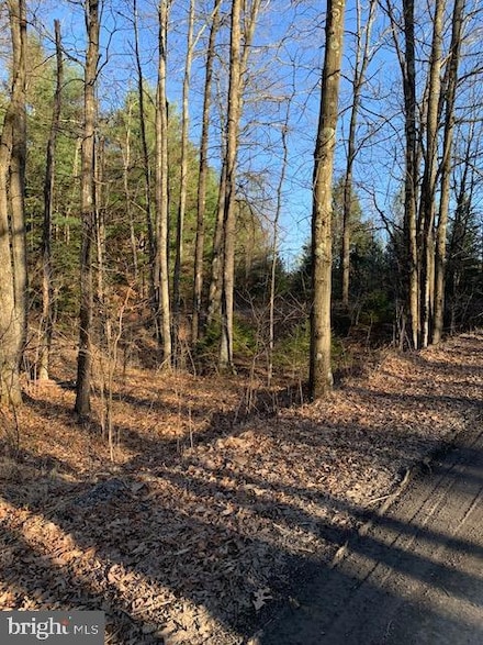 0 Little Wolf Rd, Snow Shoe Township, PA 16829