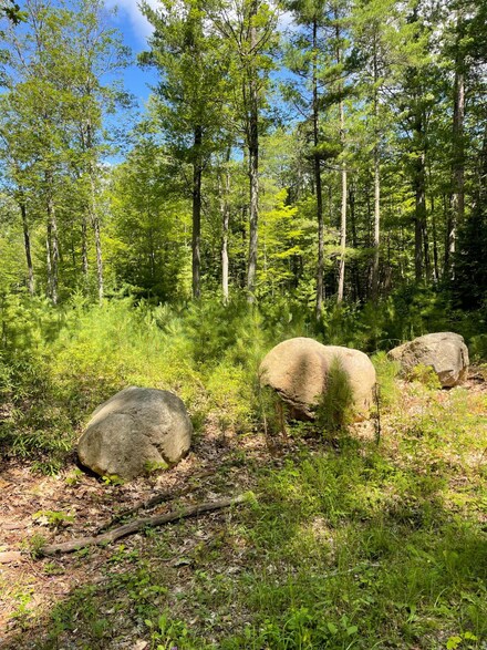 7242 Coon Lake Rd, Newbold, WI 54501