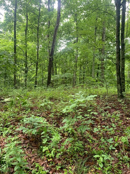 0 Kiser Rd, Grayson, KY 41143
