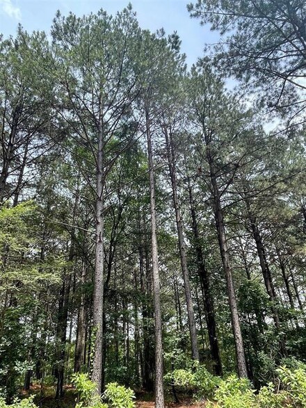 0 Cedar Hills Lakes Unit F 1156029, Broken Bow, OK 74728