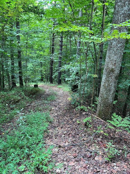 645 Tunnel Rd Unit 157 & 158, Marion, NC 28752