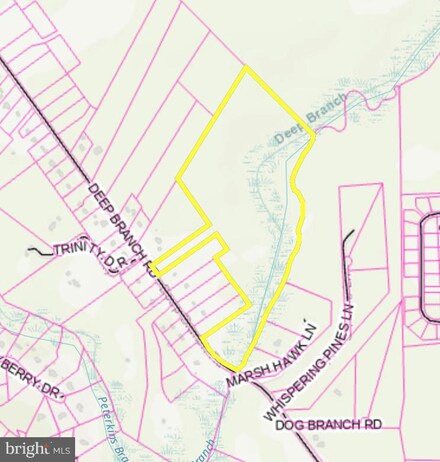 0 Deep Branch Rd Unit DESU2064794, Georgetown, DE 19947