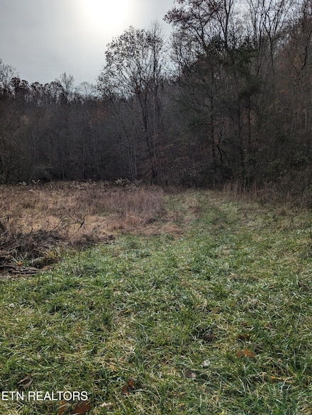 0 Owens Ln, Rutledge, TN 37861