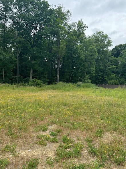 1010 (Lot 106) Goldeneye Dr, Marshall Township, PA 15005