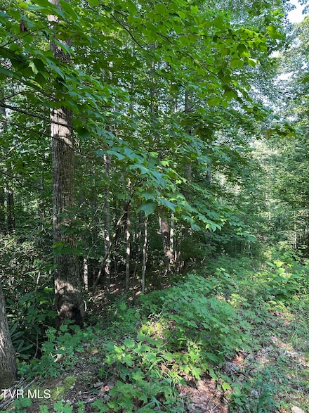 1501 Sprucy Ridge, Mountain City, TN 37683