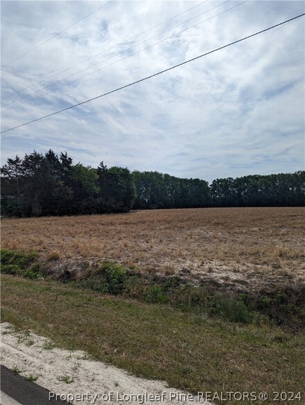 TBD Wire Rd, Bunnlevel, NC 28323