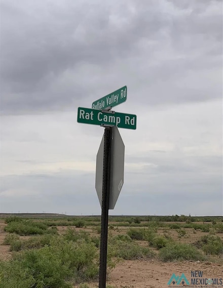 1384 Rat Camp Rd, Lake Arthur, NM 88253