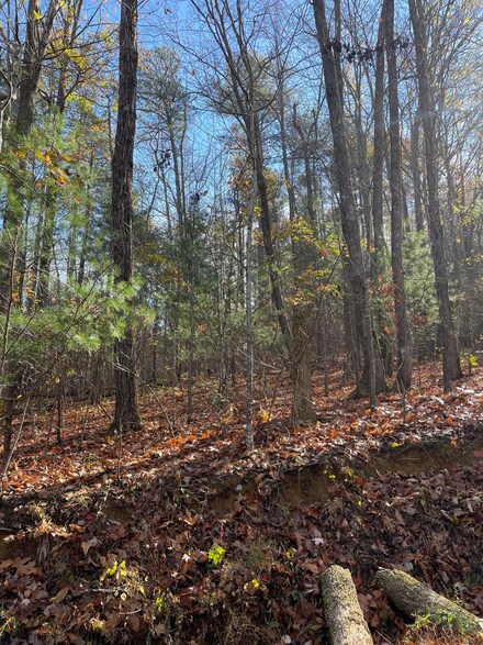 11 & 12 Emery Creek Rd, Chatsworth, GA 30705