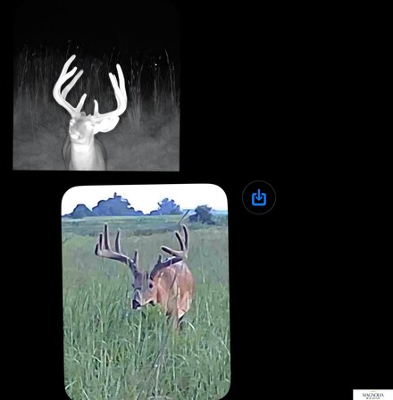 0 736 Rd Unit 22525662, Nemaha, NE 68414