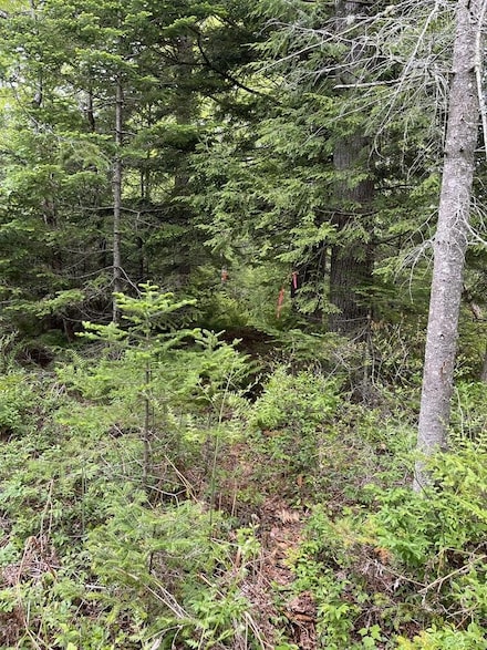 7 Leighs Way, Freeport, ME 04032