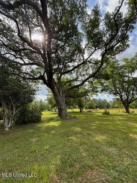 15521 Old River Rd, Vancleave, MS 39565