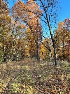 0 County Rd 246 Unit 1204339, Eureka Springs, AR 72631