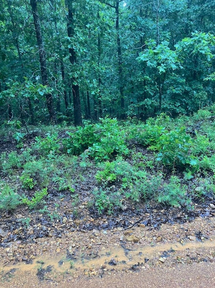 0 Newman Trail, Ozark Township, AR 72482