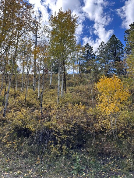 0 Aspen Dr Unit 439 42987, Ridgway, CO 81432
