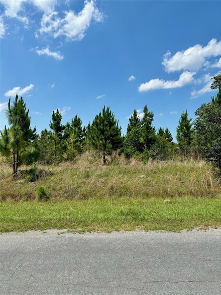 18621 Tunbridge St, Wedgefield, FL 32833