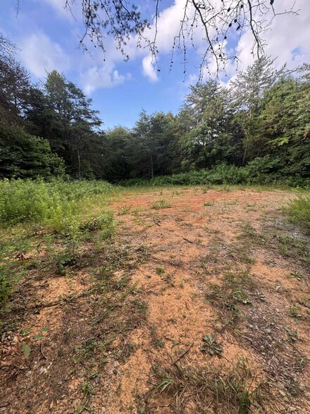 16.68+/- Acres S Highway 127, Albany, KY 42602