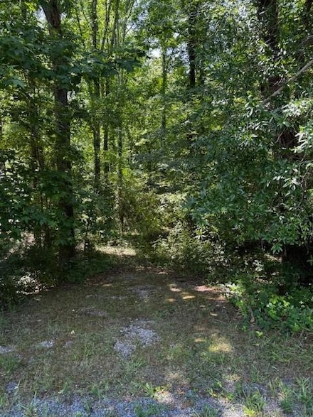Lot 19 Burwell Ln, Clarksville, VA 23927