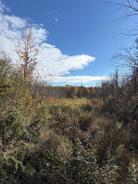 OFF Peterson Rd, Antigo, WI 54409