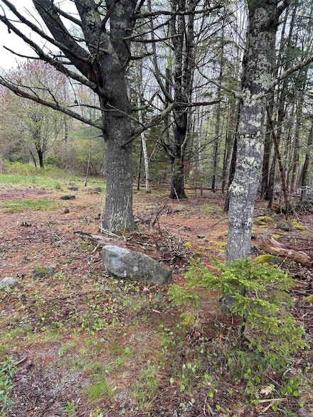 Part M9L83 Ripples Rd, Mount Desert, ME 04660