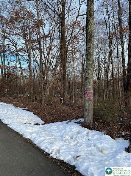 2636 Woodruff Ln, Stroud Township, PA 18360