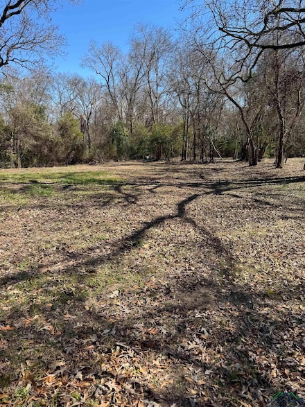 3302 Bronco St, Longview, TX 75602