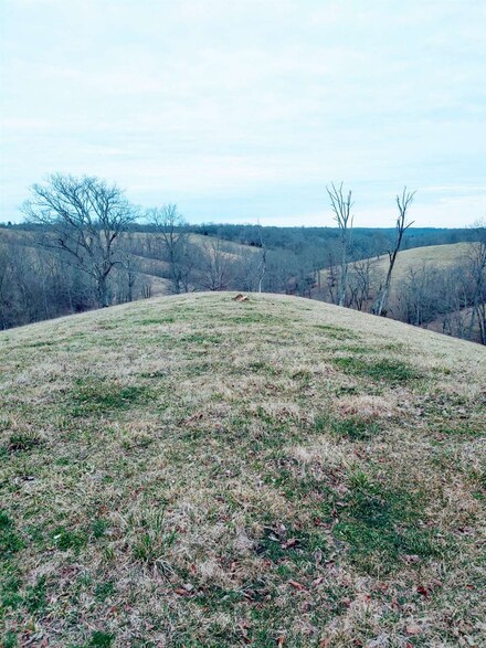 Tract #6 Stone Ln, Sadieville, KY 40370