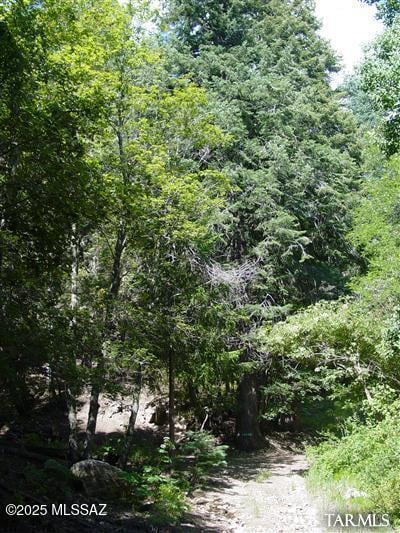 10920 E Tanager Ln E, Tucson, AZ 85619