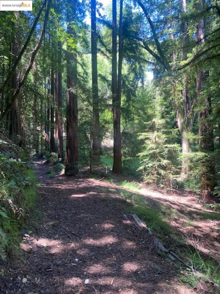 2 Wainwright Place, Mill Valley, CA 94941
