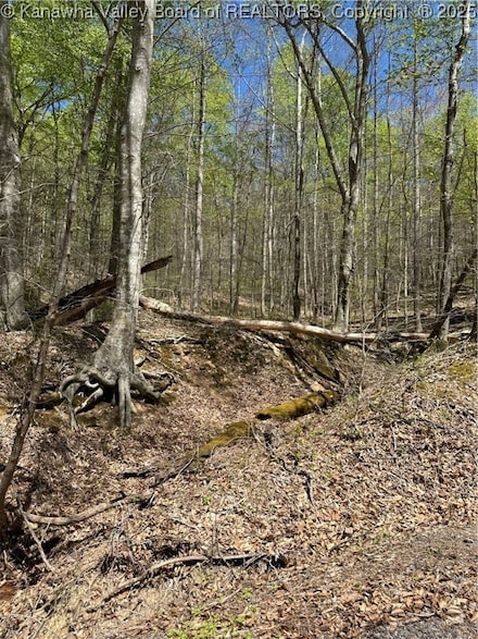 Lot #1 Sugartree Rd, Alkol, WV 25521