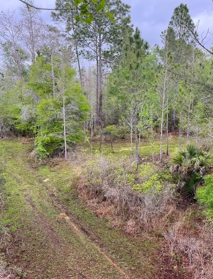 00 NW 42nd Terrace, Chiefland, FL 32626