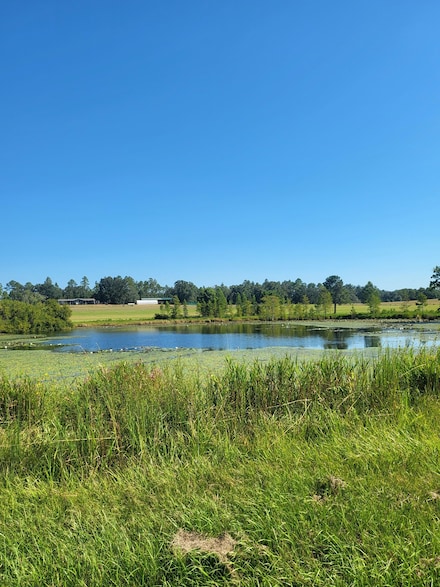 1787 River Rd, Caryville, FL 32427