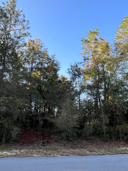 00000 Lakeview Dr, Crestview, FL 32536