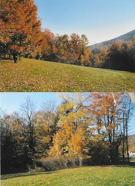 0 Pantherlick Rd, Sugar Run, PA 18846
