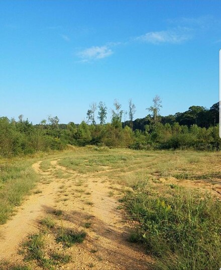 3318 Allred Dr NW, Wesson, MS 39191