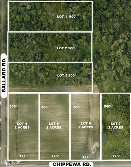 Lot #2 Ballash Rd, Chippewa Lake, OH 44215