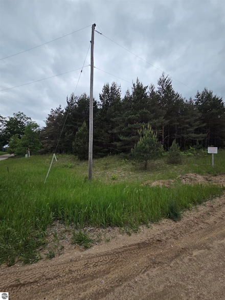 0 County Line Rd, Kingsley, MI 49649