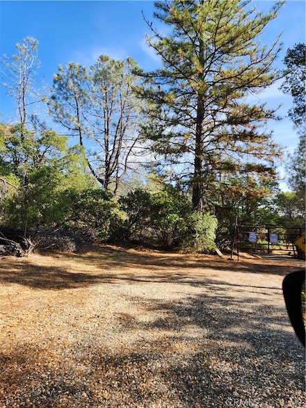 7949 Marie Ln, Rackerby, CA 95972