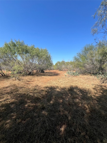 50 Cr 321 Tract 16, Jourdanton, TX 78026