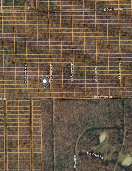 1307 Gooseberry Ln, Horseshoe Bend, AR 72512