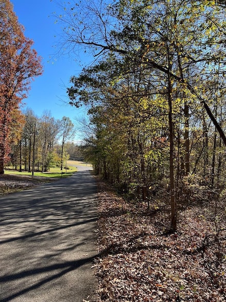 0 Forest Dr, Paris, TN 38242