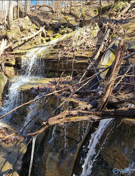 45AC Shooting Star Tr, Gurley, AL 35748