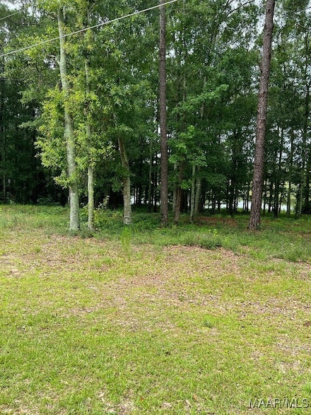 0.77 ac Private Road 1601, Enterprise, AL 36316