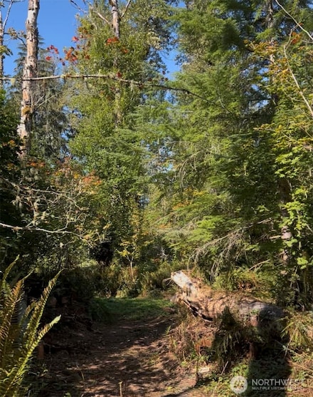 0 Cascade Ln Unit NWM2459621, Eatonville, WA 98328