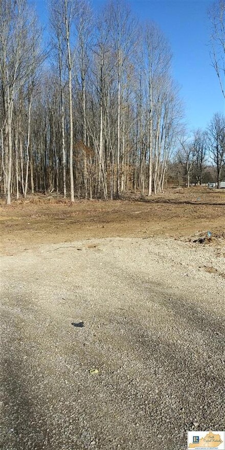 lot 1 7288 New Bowling Green Rd, Smiths Grove, KY 42171