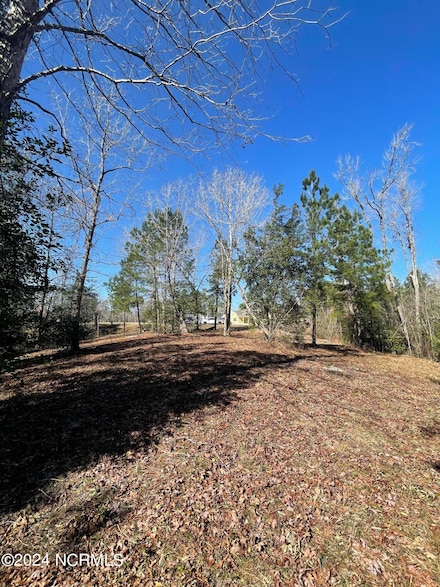 9039 River Glen Loop NE, Leland, NC 28451