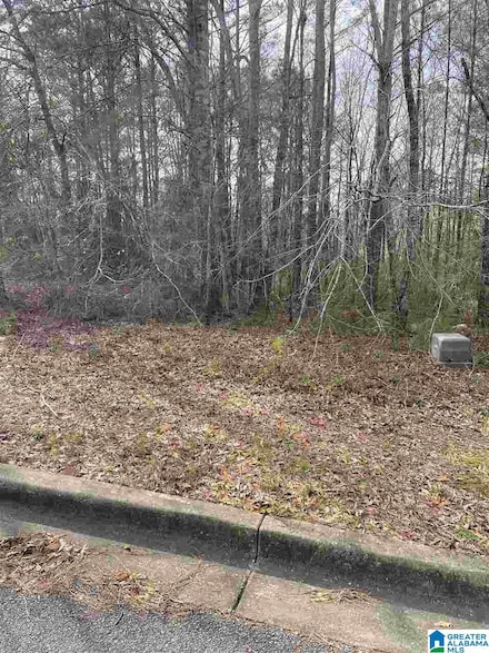 59 Peyton Place Unit 11, Anniston, AL 36207