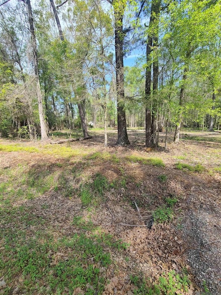 19959 Steve Hughes Rd, Walker, LA 70785