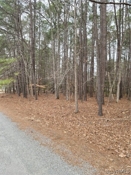 TBD Jonesboro Rd, Brunswick, VA 23887