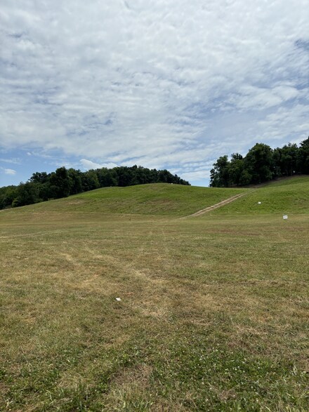 0 John Brinkley Rd, Shelbyville, TN 37160